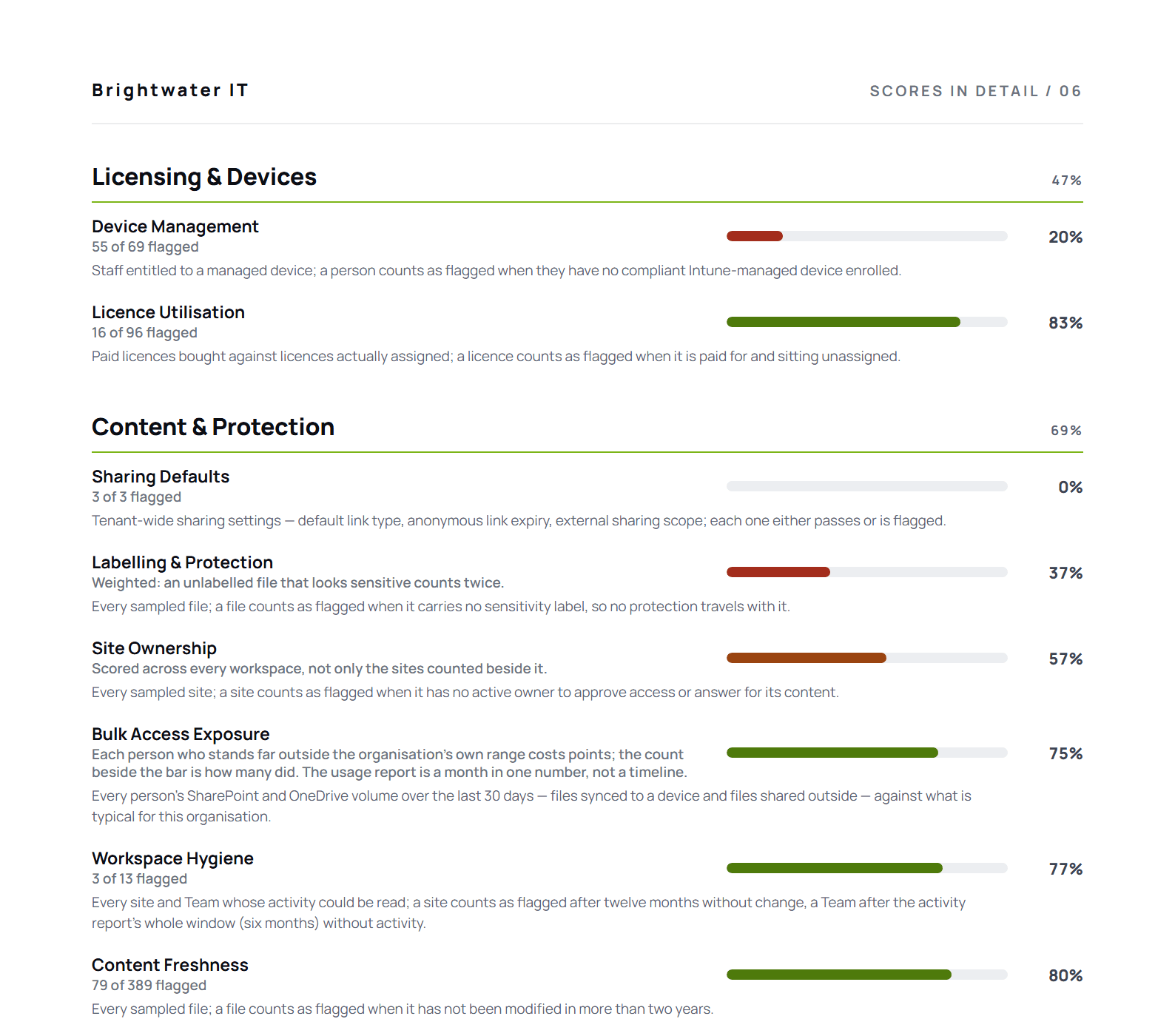 A scores-in-detail page of the report: each check with what was counted, the share flagged and its score.